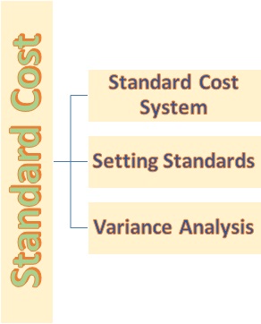 Topics in Standard Cost
